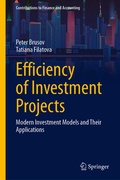 Cover: Efficiency of Investment Projects - Springer