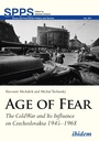 Cover: The Age of Fear - ibidem