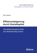 Abbildung von: Effizienzsteigerung durch Sozialkapital - ibidem-Verlag, Jessica Haunschild u Christian Schon