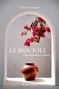 Cover: Le briciole che chiamavo amore - Aletti Editore