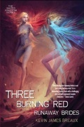Cover: Three Burning Red Runaway Brides - Write Makes Might!