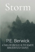 Cover: Storm - CreateSpace