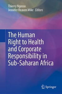 Abbildung von: The Human Right to Health and Corporate Responsibility in Sub-Saharan Africa - Springer