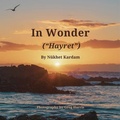 Cover: In Wonder ("Hayret") - Kollaborativ Media