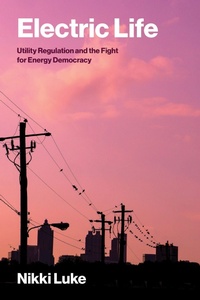 Enlarge image Cover: Electric Life - MIT Press