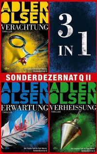 Abbildung von: Sonderdezernat Q II - dtv