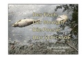 Cover: Der Fisch - Der Mensch - Die Poesie - Das Schicksal - BoD - Books on Demand