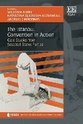 Cover: The Istanbul Convention in Action - Edward Elgar Publishing