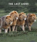 Cover: The Last Lions - Struik Nature