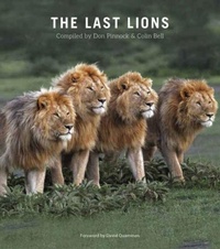 Enlarge image Cover: The Last Lions - Struik Nature