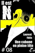 Cover: Une cabane en pleine t&ecirc;te #08 - Ska