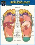 Cover: Reflexology - Barcharts, Inc