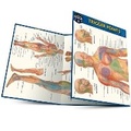 Cover: Trigger points - Barcharts, Inc