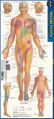 Abbildung von: Trigger Points - Barcharts, Inc