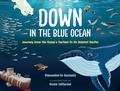 Cover: Down in the Blue Ocean - Orca Book Publishers