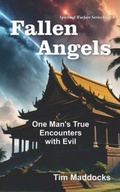 Cover: Fallen Angels - Teach Services, Inc.