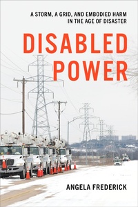 Enlarge image Cover: Disabled Power - NYU Press