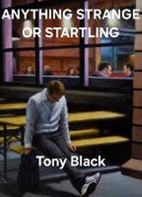 Abbildung von: ANYTHING STRANGE OR STARTLING - Yellow House Publishing Ltd