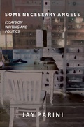 Cover: Some Necessary Angels - Dzanc Books