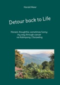 Cover: Detour back to Life - BoD - Books on Demand