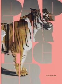 Enlarge image Cover: Eckart Hahn: Papiertiger - Verlag Kettler