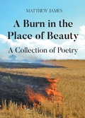 Cover: A Burn in the Place of Beauty - Newman Springs