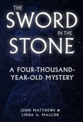 Cover: The Sword in the Stone - Amberley Publishing