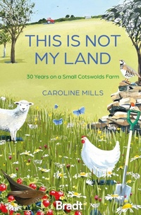 Abbildung von: This is not my land - Bradt Travel Guides