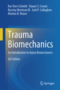 Abbildung von: Trauma Biomechanics - Springer