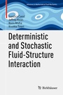 Cover: Deterministic and Stochastic Fluid-Structure Interaction - Birkhäuser