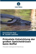 Bild: Praenatale Entwicklung der grossen Speicheldruesen beim Bueffel - Verlag Unser Wissen