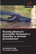 Bild: Rozwoj glownych gruczolow slinowych u bawolow w okresie prenatalnym - Wydawnictwo Nasza Wiedza