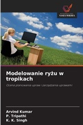 Cover: Modelowanie ryzu w tropikach - Wydawnictwo Nasza Wiedza