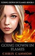 Cover: Going Down In Flames - CC Publishing