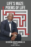 Cover: Life's Maze - Red Pen Edits and Consulting