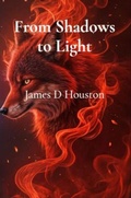 Cover: From Shadows to Light - JdH