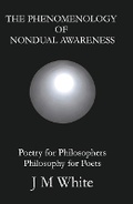 Cover: The Phenomenology of Nondual Awareness - BOOKBABY