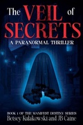 Cover: The Veil of Secrets - Busy Quill Press