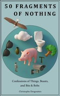 Cover: 50 Fragments of Nothing (fragments(us)) - christophe Desgouttes