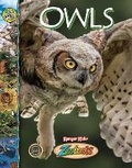 Cover: Owls - Riveting Reads