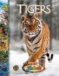 Cover: Tigers - Riveting Reads