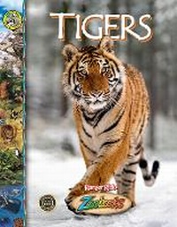 Enlarge image Cover: Tigers - Riveting Reads