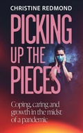 Cover: Picking up the Pieces - Mereo Books