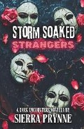 Cover: Storm Soaked Strangers - Luring Press LLC