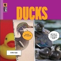 Enlarge image Cover: Ducks - Creative Education