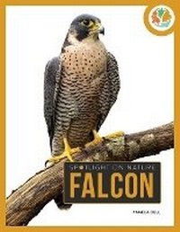 Enlarge image Cover: Falcon - Creative Education