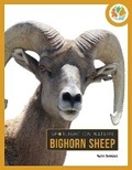 Cover: Bighorn Sheep - Creative Education
