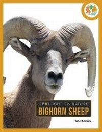 Enlarge image Cover: Bighorn Sheep - Creative Education