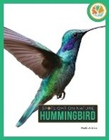 Cover: Hummingbird - Creative Education