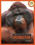 Cover: Orangutan - Creative Education